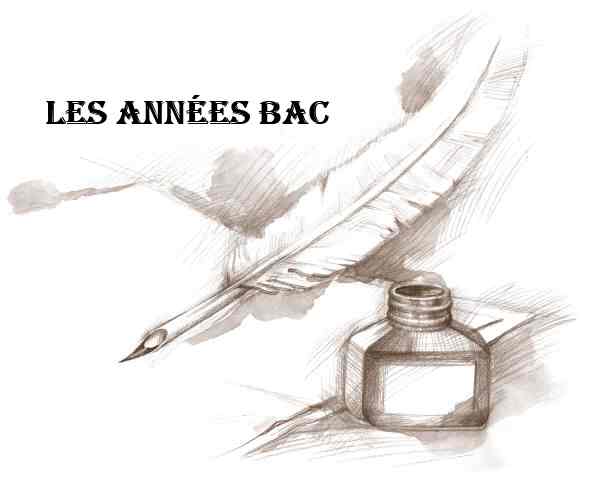 La coccinelle de Victor Hugo/ Les années BAC | Artdelire